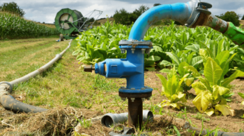 Optimizing Irrigation with the Right Pump Technology